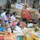 금산인삼국제시장 이미지