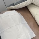 도노슈아 이미지