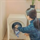 베스트드라이 | 미니건조기 5kg 후기 원룸에서 쓰기 좋은 미닉스 더 에어드라이