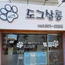 박선생 도그살롱 이미지