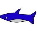 창의미술(6~7세) 이미지