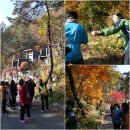 해여림식물원 | ACE 힐링 여행 후기 / 에이스침대 에이스힐링 여행... 가을 햇살처럼 따뜻한 여행^^