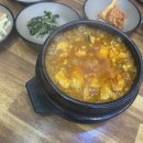명정약국 | 렌즈삽입술 후기 (수술5일차)