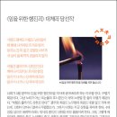 새 `5월노래` 이명박 정권의 광주죽이기 이미지