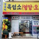 쌍둥이흑염소 티스토리