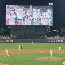 경기고속(주) | [놀고] 광주기아챔피언스필드 25.8.1(금) 경기 기아vs한화 당일치기 야구 직관 후기