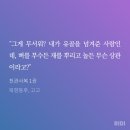 홍화성 | &lt;BL 소설리뷰&gt; 천관사복 복선 찾기 (스포주의)