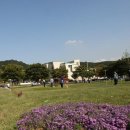 그라운드골프장 이미지