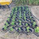 장호농장 이미지