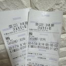 [일본영화 소개 &amp; 후기] 366일 (366 Days / 366日, 2025)