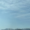 옥이네밀면칼국수 이미지