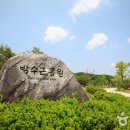 박수근미술관 1관 이미지