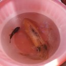 언덕위의 바다정원 이미지