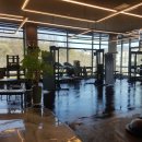 고릴라짐 광교2호점 이미지