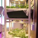 (주)알오지 이미지