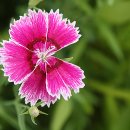 수목원 입구 이미지