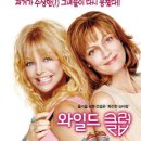 와일드 이미지
