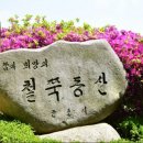 거북이동산 이미지