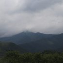 양남식농장 이미지