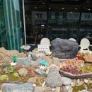 쌈이랑고기랑 | [오산맛집] 물향기 쌈밥정식, 고기랑 쌈이랑 후기