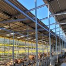 녹색농장 이미지