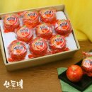 산들네
