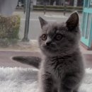 남구-037 이미지