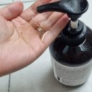 셀바이오 | [손상모케어] 오바코 프로바이오식스 멜라노셀 샴푸 후기