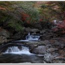 지리산 피아골계곡 단풍... 이미지