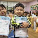 🤍배려반🤍4월 3주‘봄에 만나는 동물과 곤충'(자유놀이,수놀이,인성,속담,드림,인형극,봄나물비빔밥,미술,게임,창의,원어민영어) 이미지