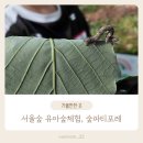 서울숲 유아숲체험 프로그램, 재미가득 숲파티포레 숲 탐험대