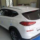 에스(S)게러지 이미지