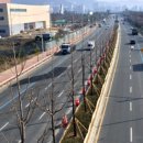 낙동남로 이미지