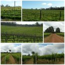 선은식농장 이미지