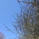 풍도복지회관 이미지