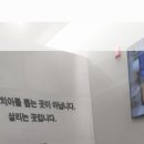 판교최용훈치과의원 네이버블로그