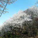 원당마을@ 이미지