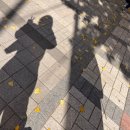 현대운수노동조합 | 모범택시 팬밋업 후기(+눈앞에서 에어팟 맥스 놓친 썰 : 네 제가 197번 입니다.. )