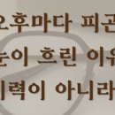 신월동167 이미지