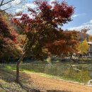 사선대주차장화장실 이미지