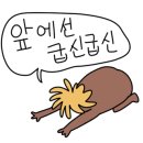 불닭발땡초동대문엽기떡볶이충남