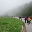 둘레목장 이미지