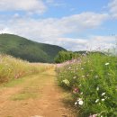 호수마을경로당 이미지