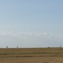 마라클럽 이미지