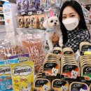 가든펫동물병원 이미지