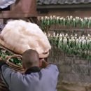 36식자재 이미지