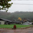 수동초등학교 이미지