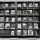 공존(共存) 이미지