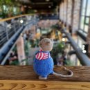 프랑스자수와 인형 이미지