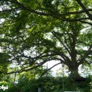 호롱불마을 이미지